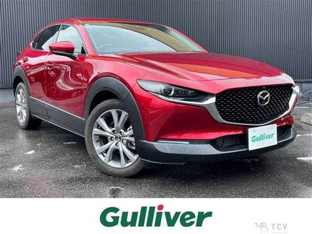 2021 Mazda CX-3
