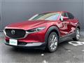 2021 Mazda CX-3