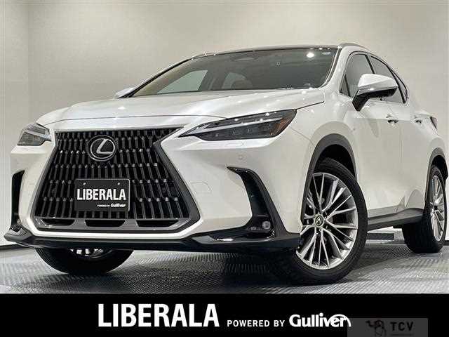 2023 Lexus NX
