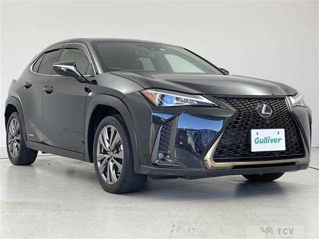 2019 Lexus UX