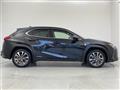 2019 Lexus UX