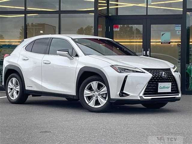 2019 Lexus UX