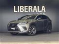 2020 Lexus NX