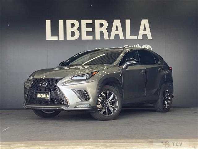 2020 Lexus NX