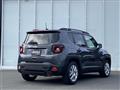 2021 Chrysler Renegade