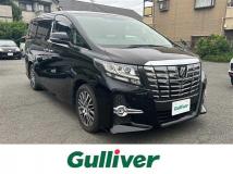 2016 Toyota Alphard