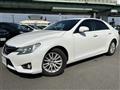 2013 Toyota Mark X