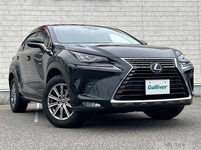 2020 Lexus NX