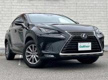 2020 Lexus NX
