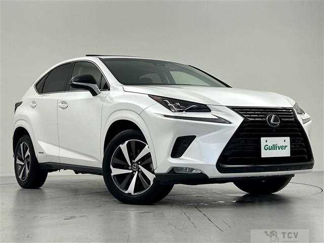 2018 Lexus NX