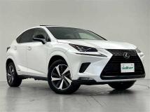 2018 Lexus NX