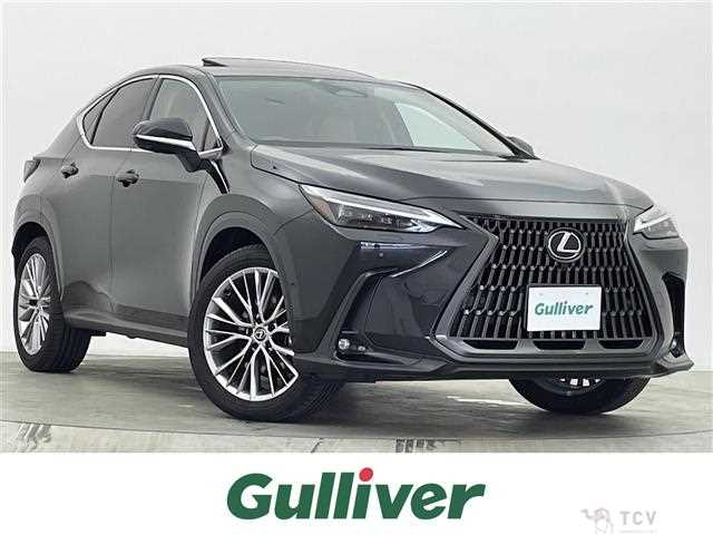 2023 Lexus NX