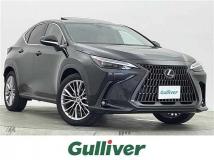 2023 Lexus NX