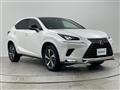2021 Lexus NX