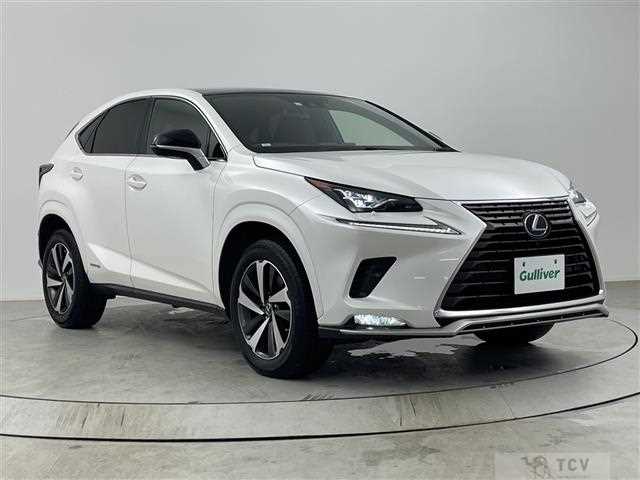 2021 Lexus NX