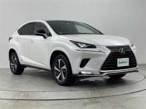 2021 Lexus NX