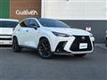 2025 Lexus NX