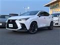 2025 Lexus NX