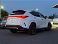 2025 Lexus NX