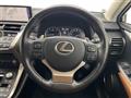 2020 Lexus NX
