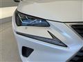 2020 Lexus NX