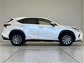 2020 Lexus NX