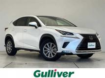2020 Lexus NX