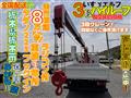 2008 Isuzu Isuzu Others