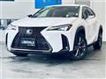 2019 Lexus UX
