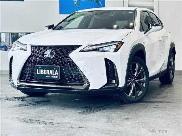 2019 Lexus UX