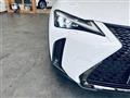 2019 Lexus UX
