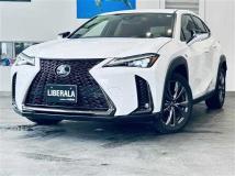 2019 Lexus UX
