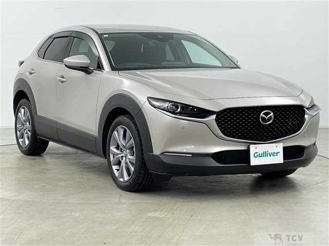 2023 Mazda CX-3
