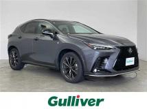 2024 Lexus NX