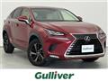 2018 Lexus NX