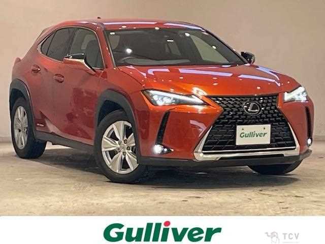 2019 Lexus UX