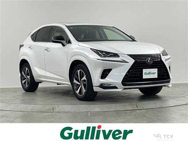2018 Lexus NX