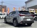 2018 Lexus UX