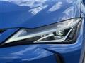 2020 Lexus UX