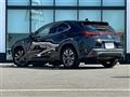 2019 Lexus UX