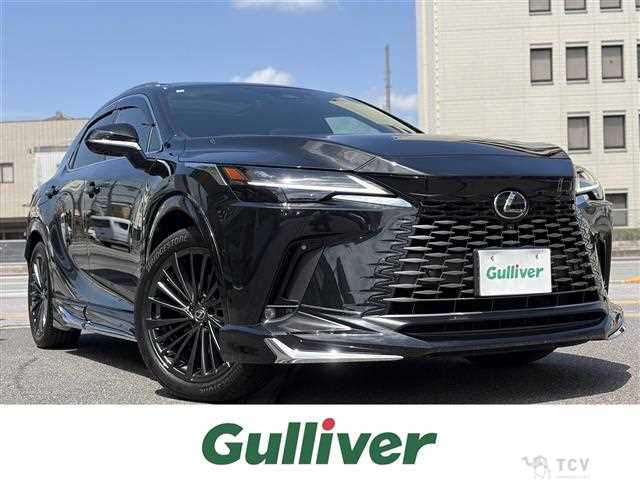 2024 Lexus RX