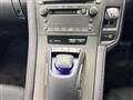 2010 Lexus HS