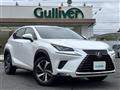 2019 Lexus NX