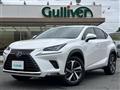2019 Lexus NX