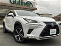 2019 Lexus NX