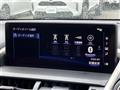 2019 Lexus NX