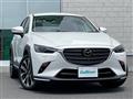 2019 Mazda CX-3