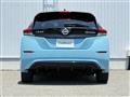 2019 Nissan Leaf
