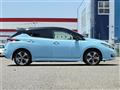 2019 Nissan Leaf