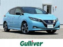 2019 Nissan Leaf
